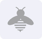 Sortiment-Bienenprodukte