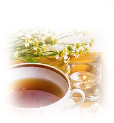media/image/Kat-Premium-Tee-Fruelingstees_TL.jpg